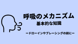 【基本】呼吸のメカニズム