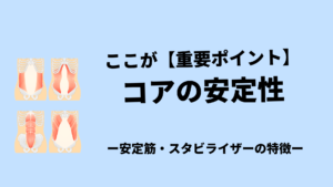 安定筋の【重要なポイント】