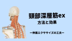 頸部深層筋exの方法と効果