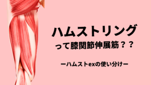 ハムストリングは膝関節伸展させる？-exの展開方法-