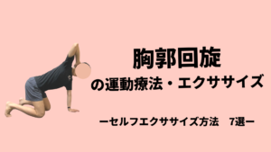 胸椎回旋モビリティex-7選-