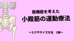 意外と知らない？小殿筋の運動療法