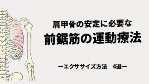 肩甲骨の安定に必要な4つの前鋸筋ex