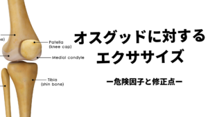 オスグッド-危険因子と運動療法の考え方-