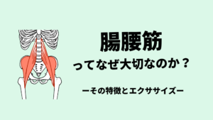 腸腰筋って重要だよね？
