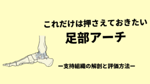 これだけは押さえておきたい-足部アーチの解剖と評価方法-