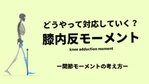 膝関節内反モーメントの考え方とアプローチ方法
