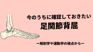今のうちに確認しておくべき【足関節背屈】
