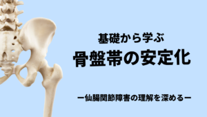 基礎から学ぶ骨盤帯/仙腸関節の安定化