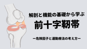 解剖と機能の基礎から学ぶ前十字靭帯-危険因子と考え方-