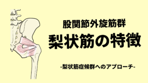梨状筋の特徴-梨状筋症候群へのアプローチ-