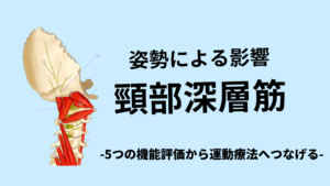 姿勢の影響を受ける頸部深層筋に対する5つの評価