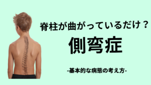 側弯症の基礎基本