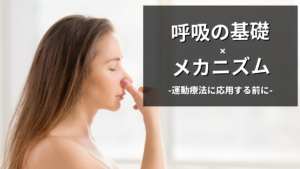 呼吸の基礎とメカニズム