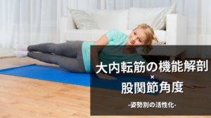 大内転筋の機能解剖と姿勢別のEx