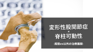 変形性股関節症と脊柱可動性：運動療法の視点から