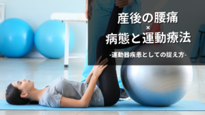 産後腰痛の病態と運動療法