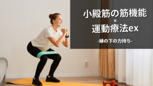 小殿筋の機能解剖と運動療法