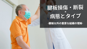 腱板損傷・断裂の病態理解