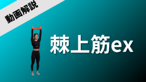 棘上筋exの動画解説