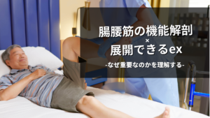 腸腰筋の機能解剖とex