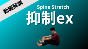 Spine Stretch