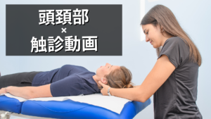 頭頸部の触診動画