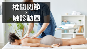 椎間関節の触診動画