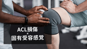 ACL損傷と「固有受容覚」