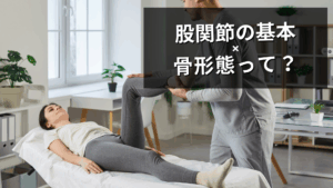 股関節の骨形態って？