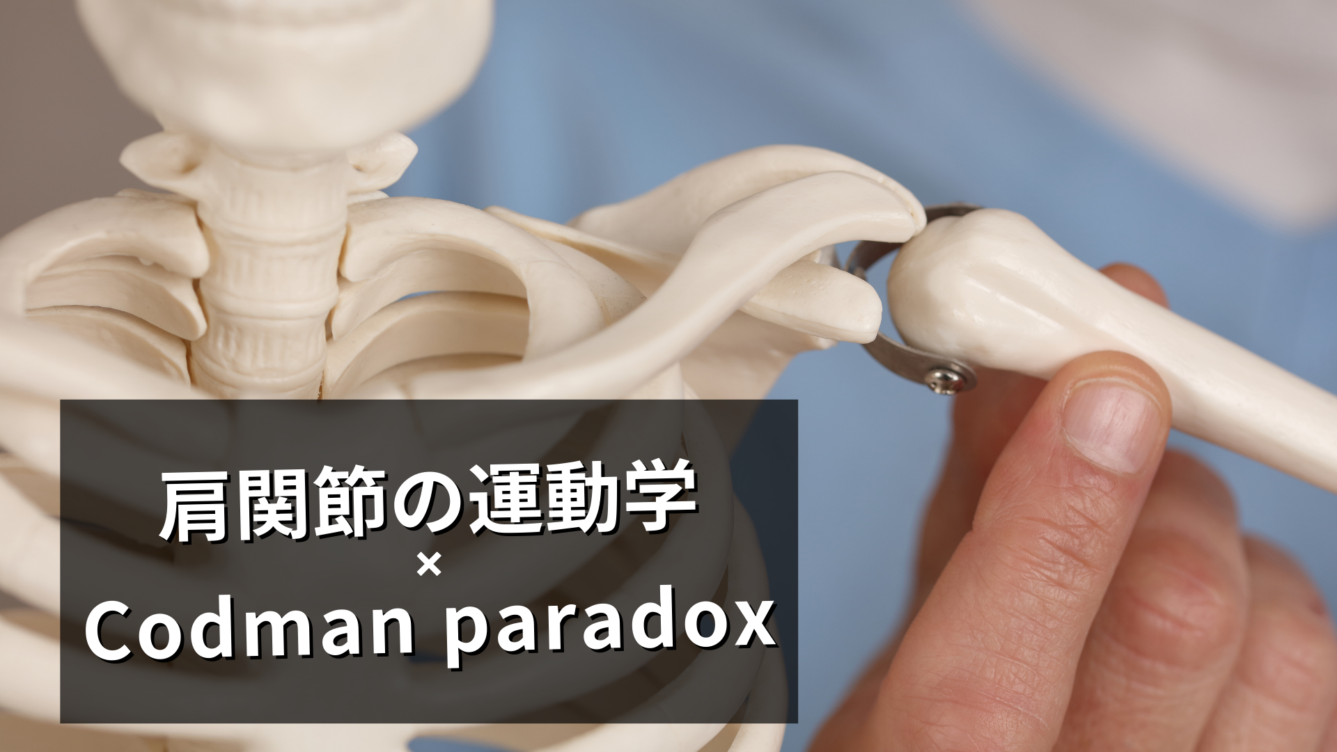 コッドマンパラドックス