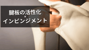 肩峰下インピンジメントの病態