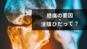 膝痛の要因ー滑膜ひだー