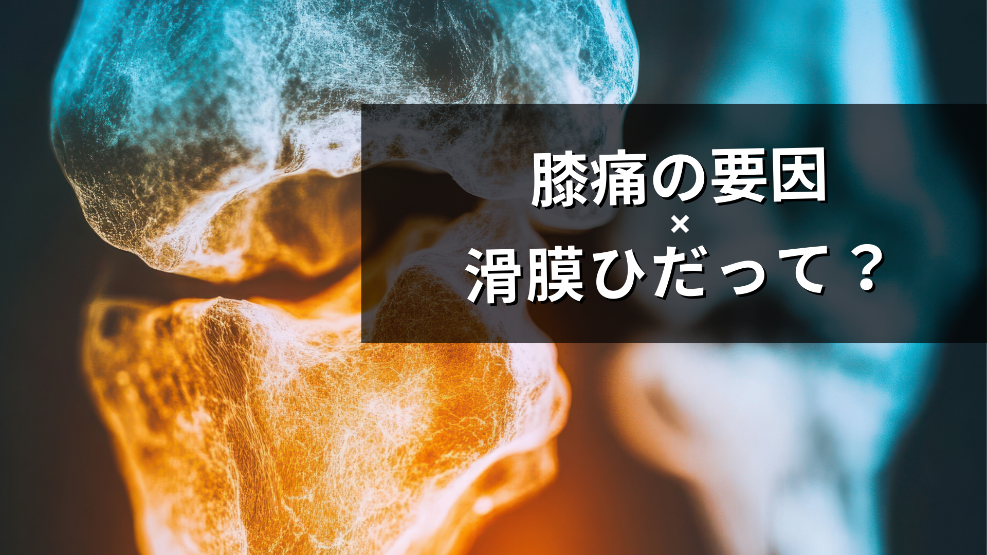 膝痛の要因ー滑膜ひだー