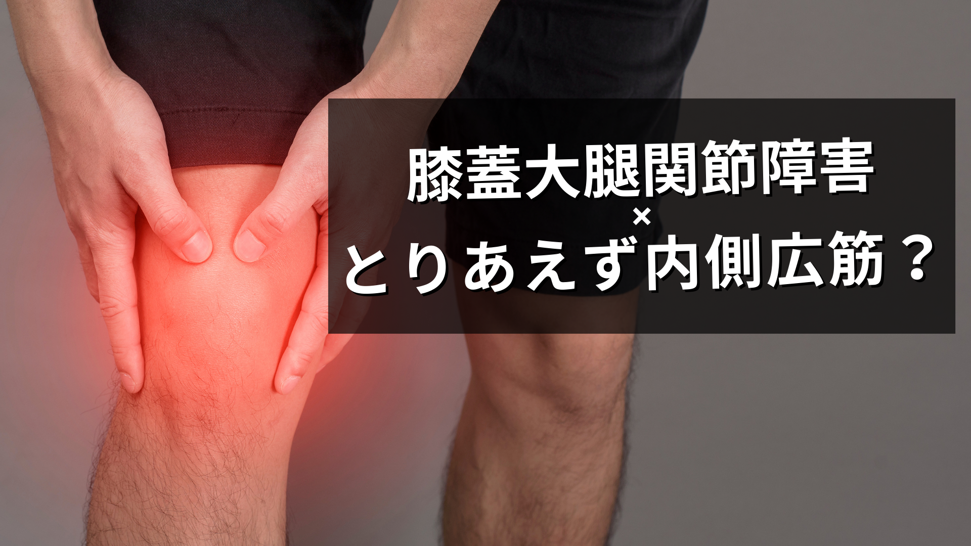 膝蓋大腿関節障害への内側広筋exの有用性