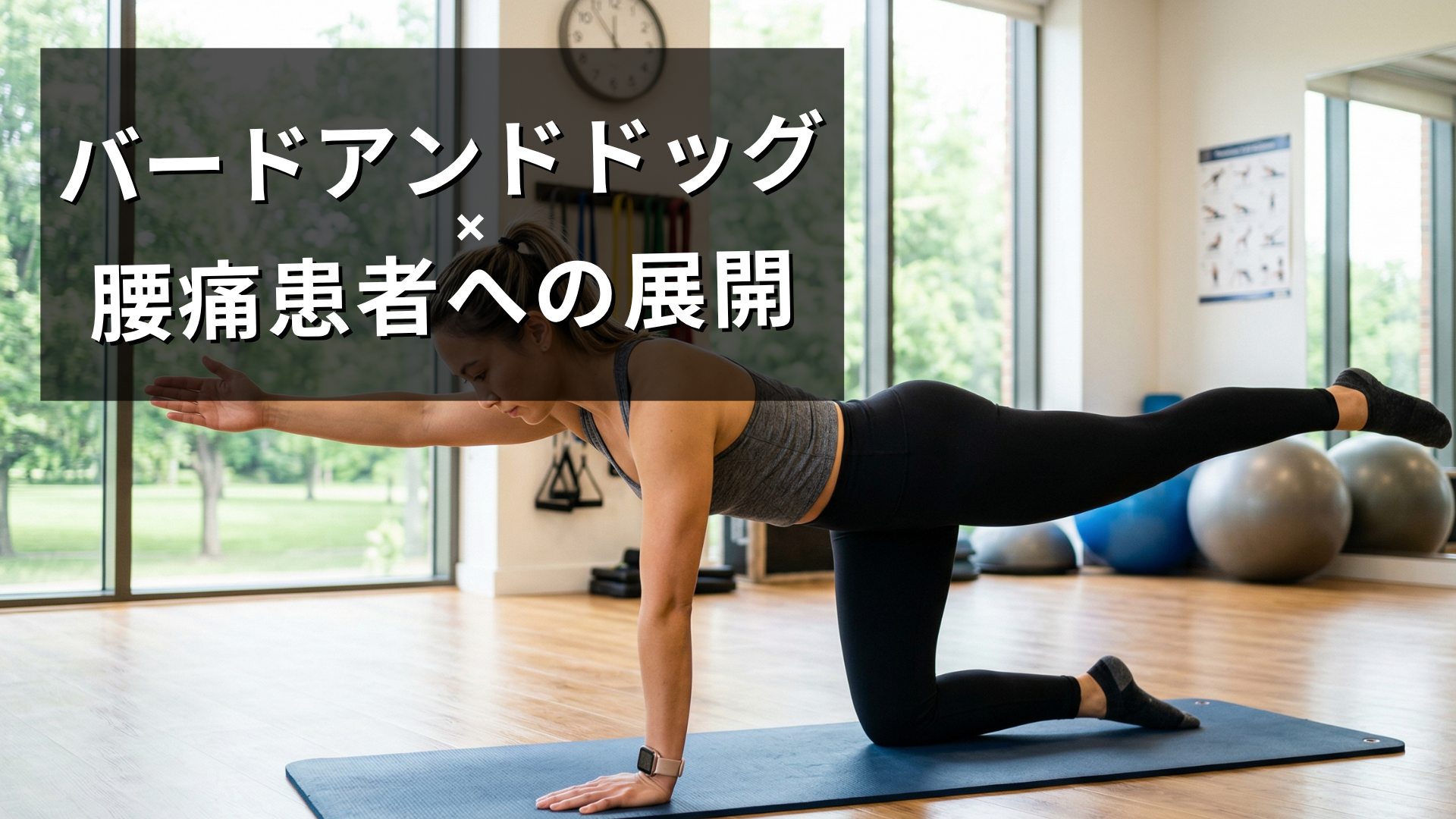 腰痛患者に対するバードアンドドッグの展開