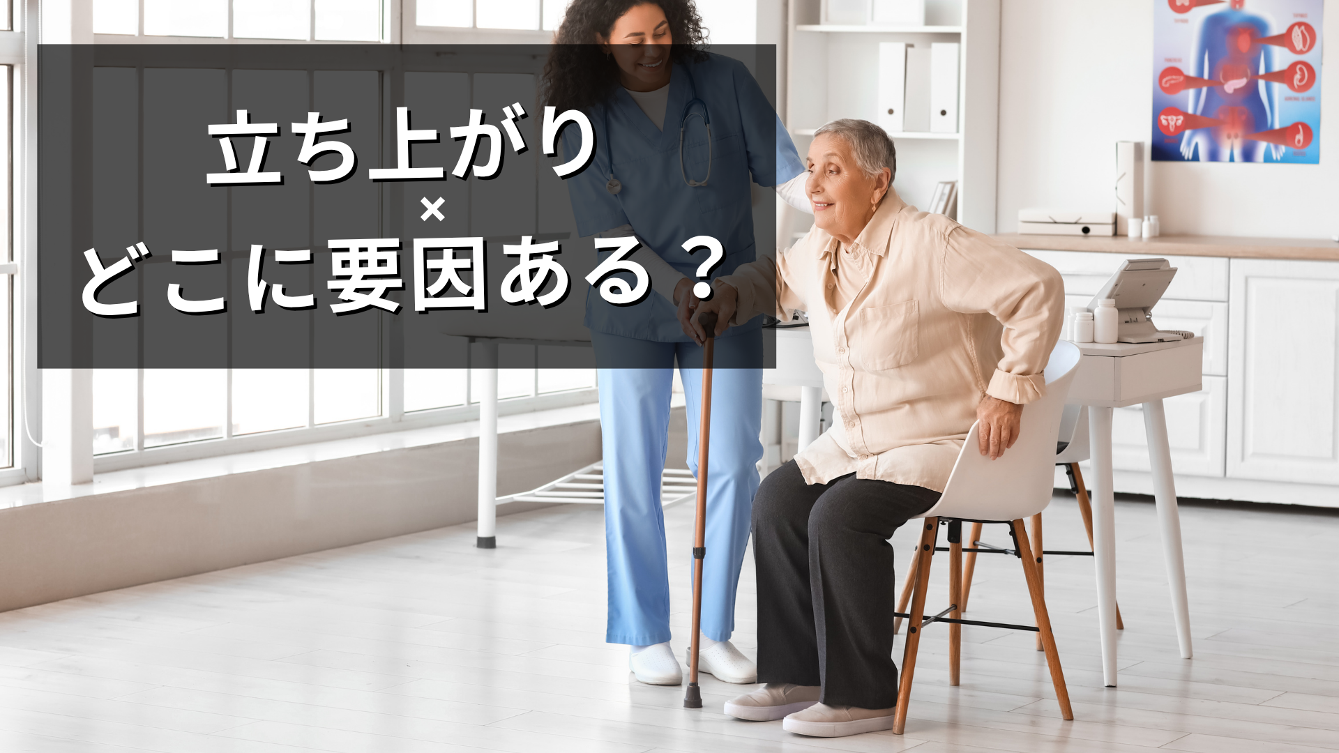 立ち上がり時の膝関節痛は、痛い場所だけで原因を決めない