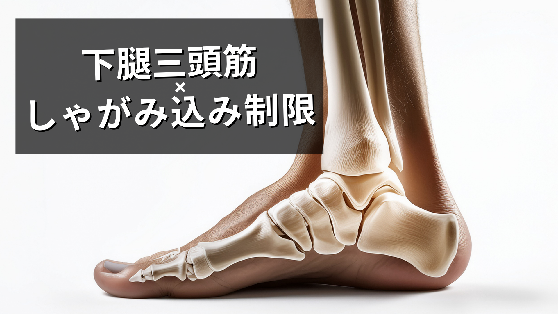 下腿三頭筋短縮としゃがみ込み制限