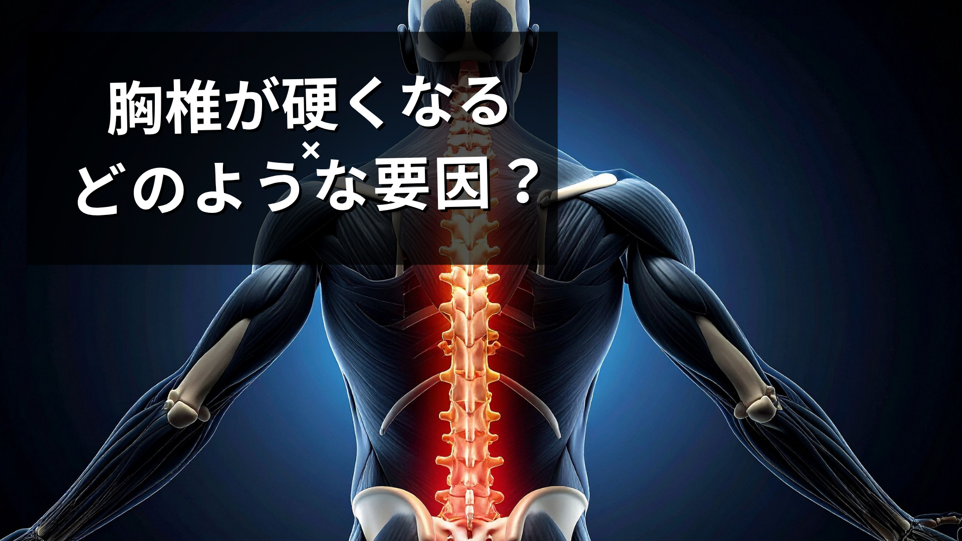 胸椎が硬くなる要因