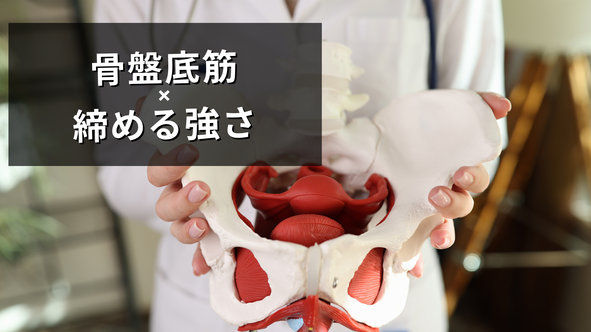 骨盤底筋は締められるだけ？