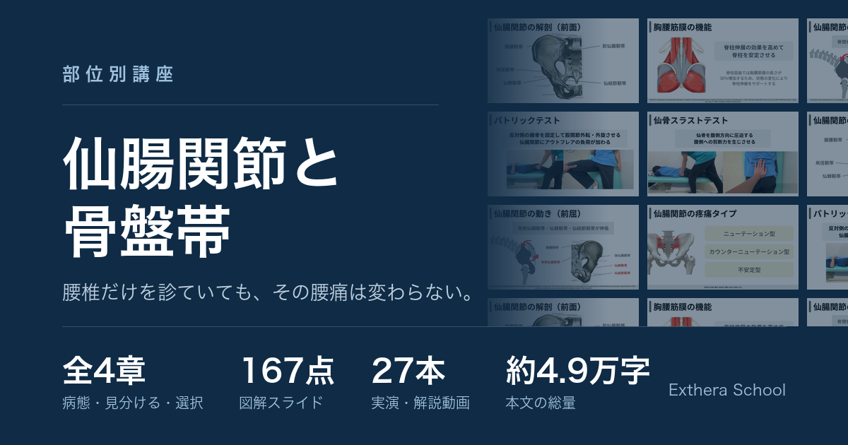 仙腸関節と骨盤帯 全4章を公開します